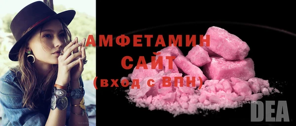 шишки Богородицк